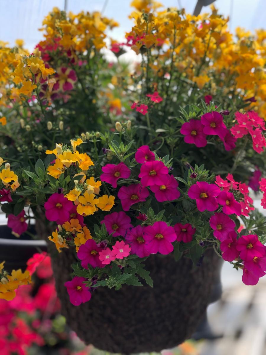 14" Fiber Baskets Borzynskis Farm & Floral Market